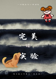 完美实名认证技巧